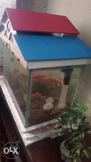 Rectangular fish tank is for sale at low price
