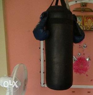 Selling LEW boxing bag with MAIZE gloves.. very