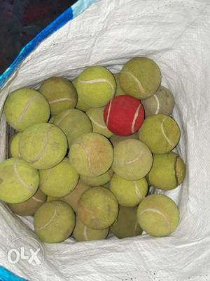 Tennis Ball Lot