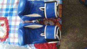 Blue-and-white Boxing Gloves