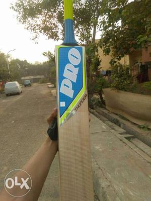 Brown And Blue Wooden Pro Cricket Bat