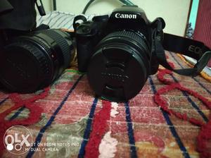 Canon eos 500D camera need Condition l893