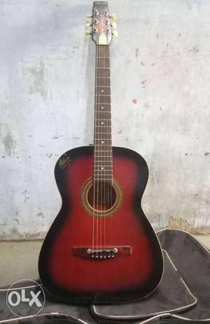 Never use good condition hobner guitar