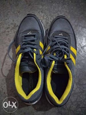 Sport shoes in a very good condition.
