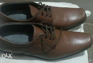 Unused brown leather shoes