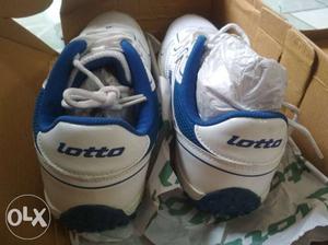 White-and-blue Air Jordan Basketball Shoes