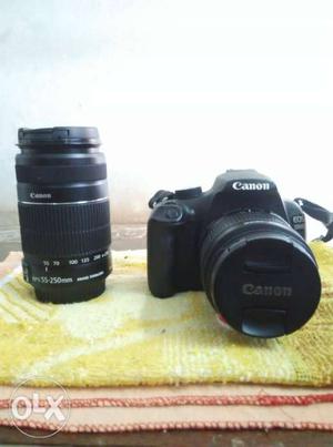 Canon d for Rent 600 full day