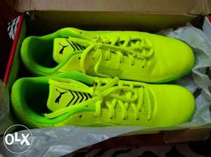 Price rs  size 9 uk puma neon shoes brand new