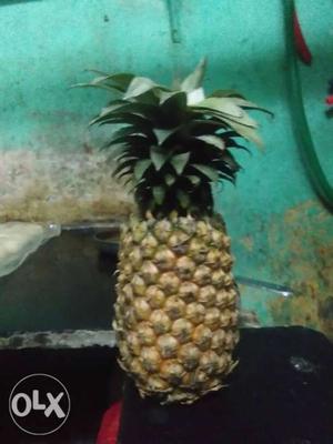 Ripe Pineapple