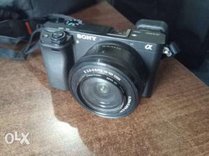 Sony A only 7 month..  mm lens 2 bettry