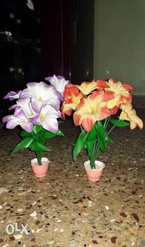 White, Orange, And Beige Flowers