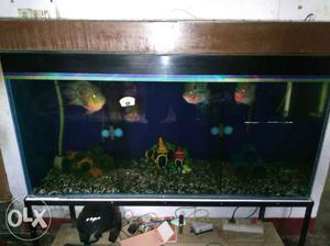 1 horn fish & tank stand