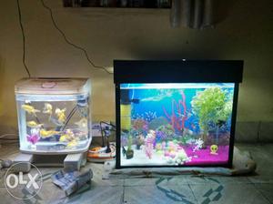 2 PCs Aquarium with all fishes for sell