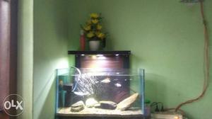 2×1feet aquarium