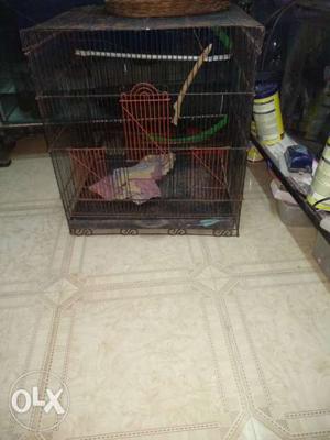 3 bird cage for sell fixed price