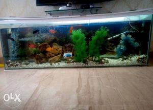 5 feet x 2 feet size of fish tank with two