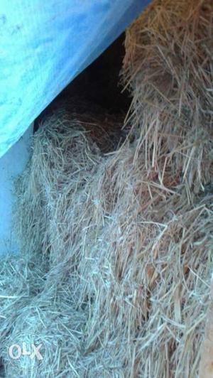 500 hay rolls for sale