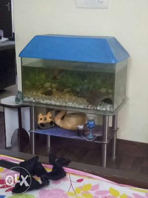 Acquarium with table