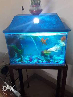 Aquarium with stand, Air Pump, Light and water