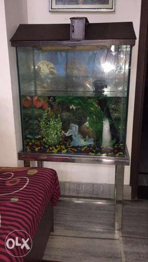 Aquarium with steel stand and all accesary