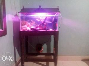 Aquarium woden stand an top,