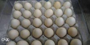 Country egg rs 10/ only min order qty 50nos+ no