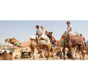 •Desert Safari Tour Jaipur