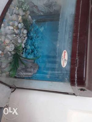Fish Aquarium 2.5x1ft in good condition for sale