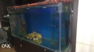 Fish Aquarium width 4 ft. height 2 ft. with power