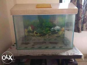 Fish Tank / Aquarium **Just 1 year Old** **60 cm