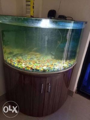 Fish Tank with storage cabinet 1 year old