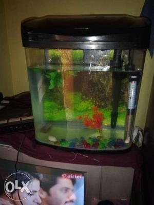 Fish tank good condition all in hear
