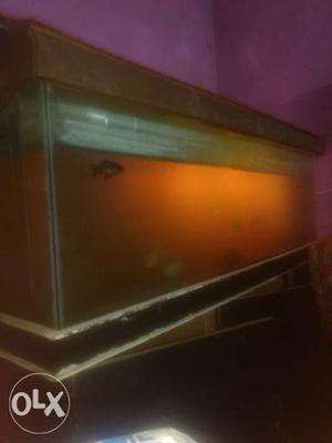 Fish tank in good condition big size,with