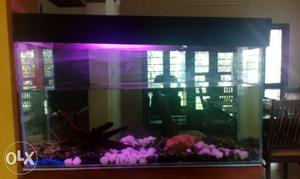 Fish tank in good condition with cap.Capacity of