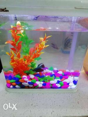 Fish tank,with plants, pebbles, led light, and
