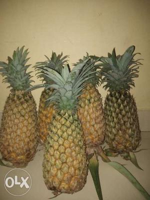 Good Quality Pineapple Per Piece 60