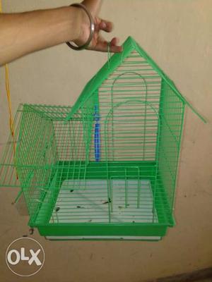 Green Metal Wire Birdcage