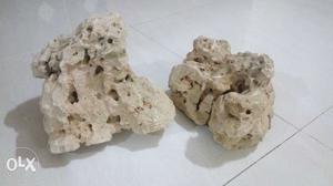 Lavha Rock 2 pieces & Drift wood 1 piece