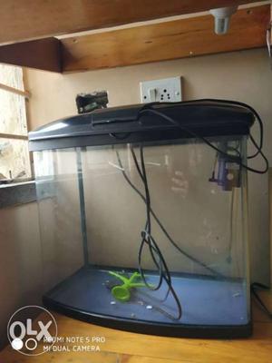 Molded aquarium with filter light holder