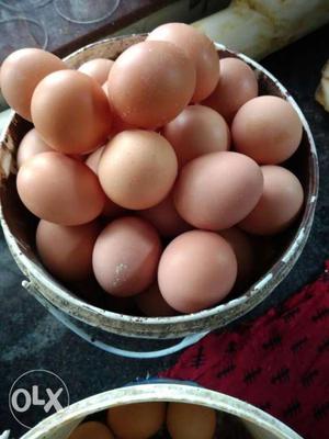 Nadan eggs Rs.8 per egg