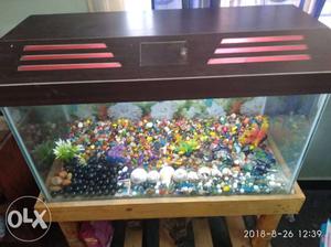 New big size fish tank with sta