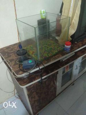 Only call no Msg plez Fish tank, Stone, Ocsijon &