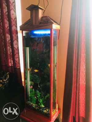 Rectangular Brown And Beige Pedestal Fish Tank