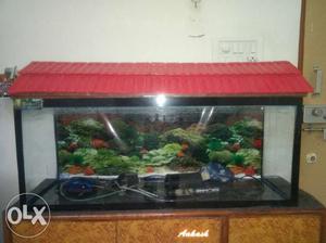 Red And Black Framed Fish Tank