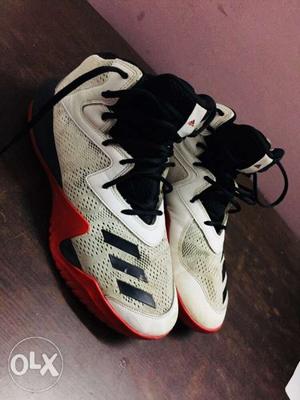 Adidas crazy team basketball shoes less used size