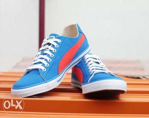 Blue-and-white Vans Low-top Sneakers