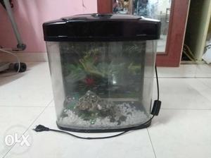 20 l aquarium with lights,filter,and gravel..All
