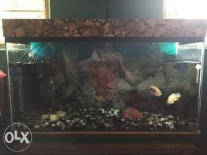 3 feet aquarium new only 10 days for sell with