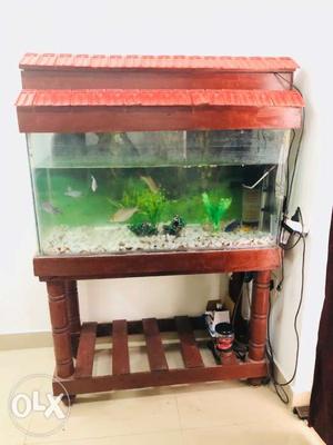 3 feet fish tank with wooden table and top cover.