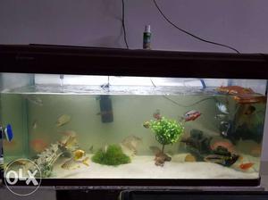 4 feet minijiang imported aquarium NO FISHES